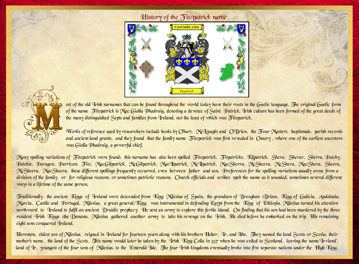Fitzpatrick Family Name History